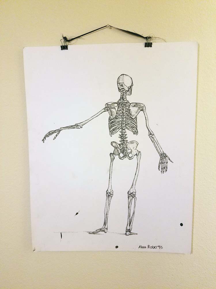 skeleton